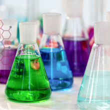 Formator Peer Lab